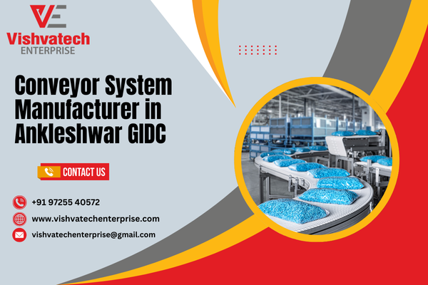 Conveyor System Manufacturer in Ankleshwar GIDC