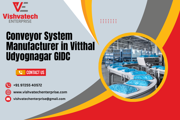 Conveyor System Manufacturer in Vitthal Udyognagar GIDC